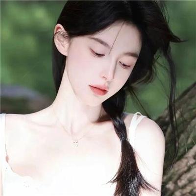 春满凤城