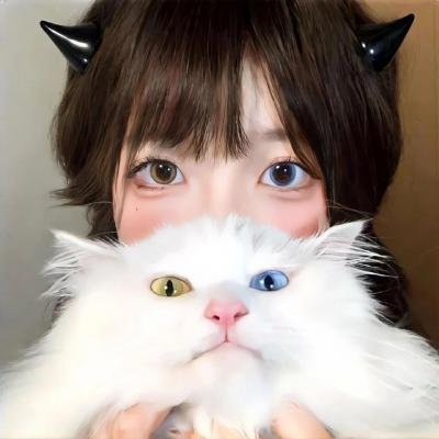 莉莉小姐的超完美日记